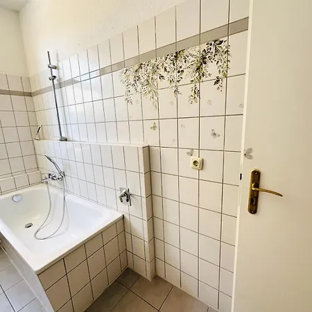 Lichtdurchflutetes Im Herzen Reudnitz